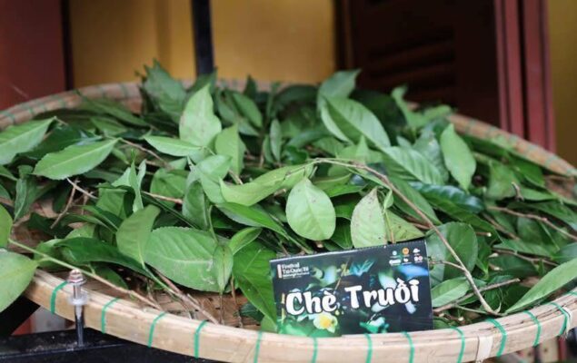 600295995_940514775164351_8267909422438217332_n