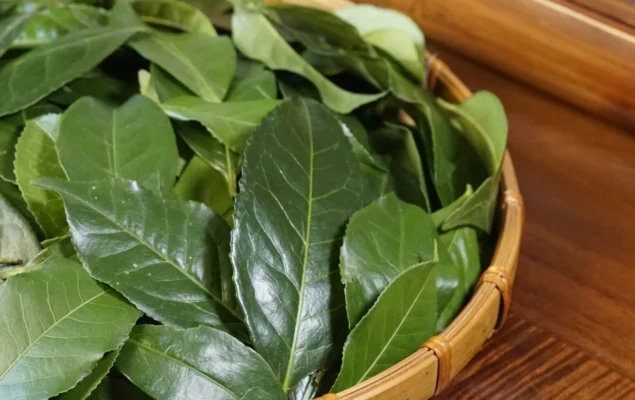 1-c8a7f1e8-58db-4395-bdcd-54d33f150a89