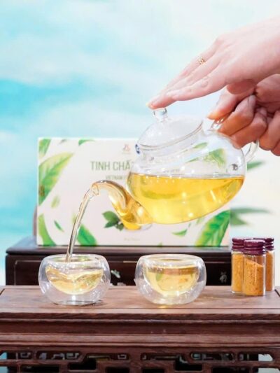 Trà Túi Lọc Chè Xanh Xứ Truồi - Hộp 20 gói