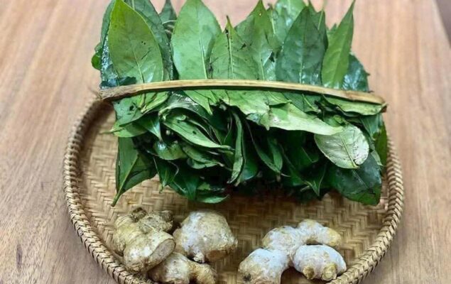 611247154_3370279609797956_1138692687532782879_n