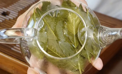 2-8e23fdac-8918-486e-818a-42231066c458