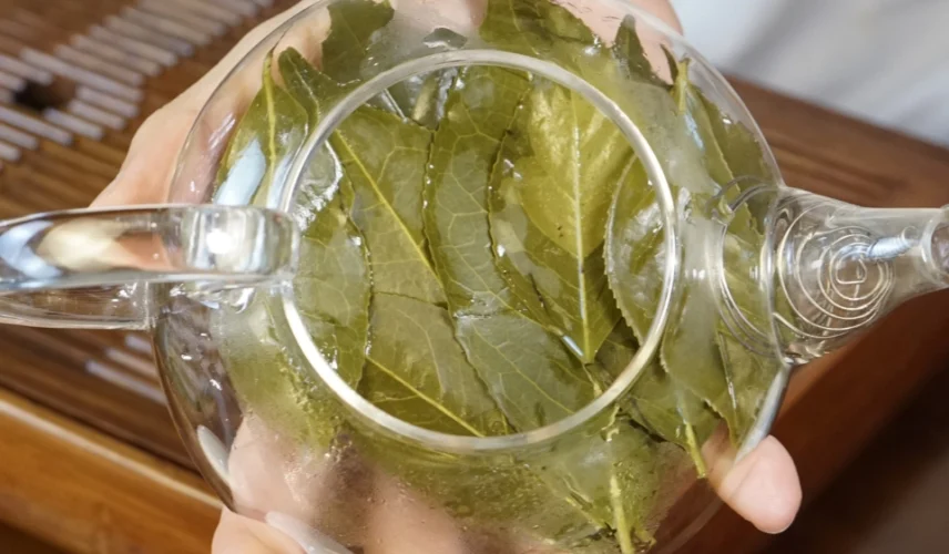 2-8e23fdac-8918-486e-818a-42231066c458