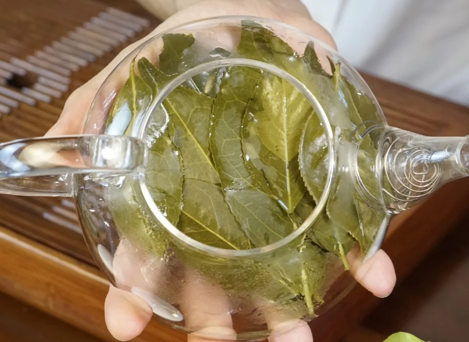 2-8e23fdac-8918-486e-818a-42231066c458