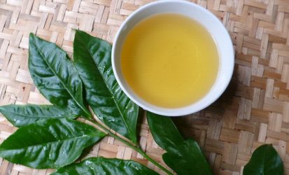 7b6traxanhpg2028229_100b42f4