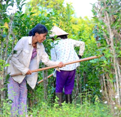 ????????????????????????????????????