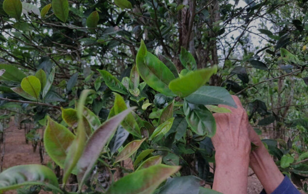 b6540b5820e2afbcf6f3