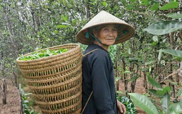 c4d6ac974aeec5b09cff