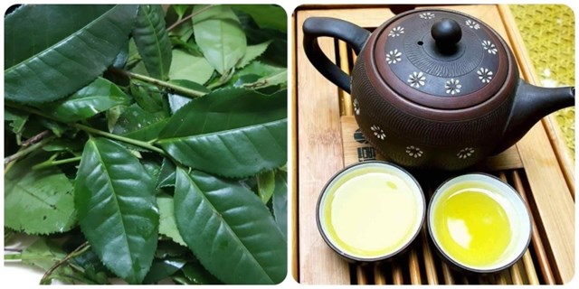 ipiccyimage-1-09112388-1691916892832-16919168929981542258662 (1)